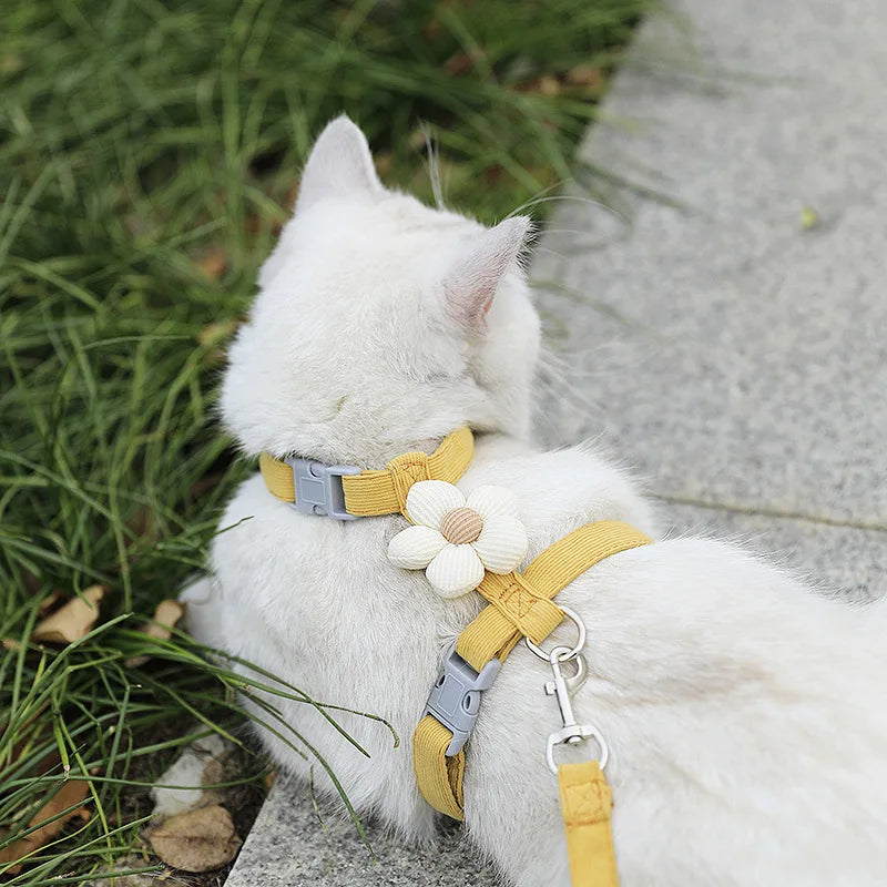 Adjustable Breathable Cat & Small Dog Harness – Secure Walking Leash Set for Outdoor Adventures