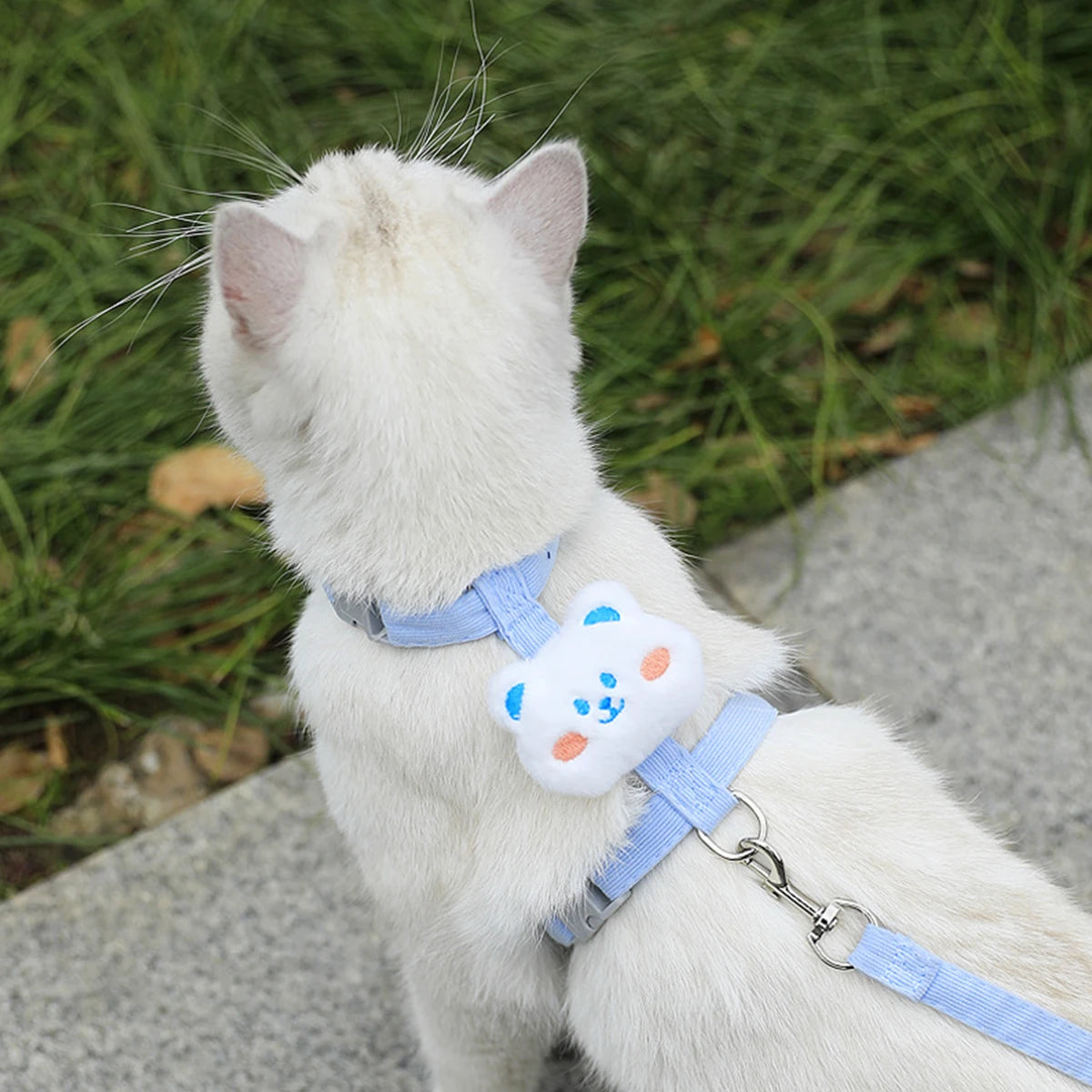 Adjustable Breathable Cat & Small Dog Harness – Secure Walking Leash Set for Outdoor Adventures