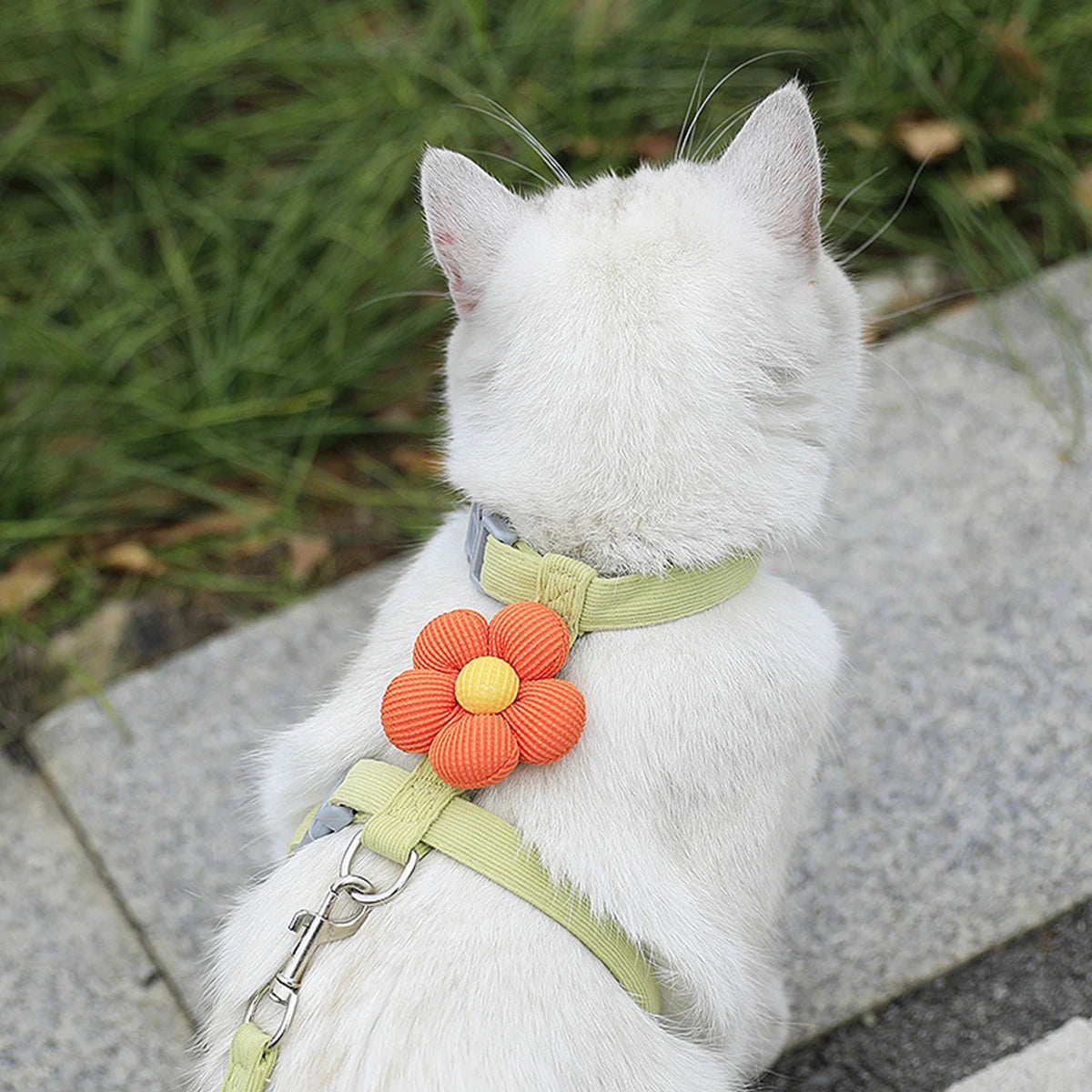 Adjustable Breathable Cat & Small Dog Harness – Secure Walking Leash Set for Outdoor Adventures