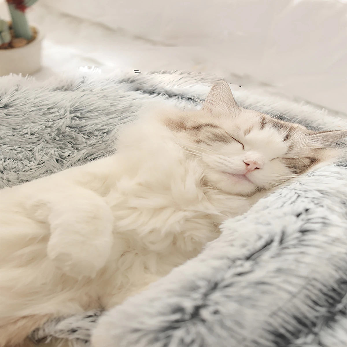 A warm and fluffy hooded pet bed designed to give cats and small dogs a cozy, secure place to rest and sleep